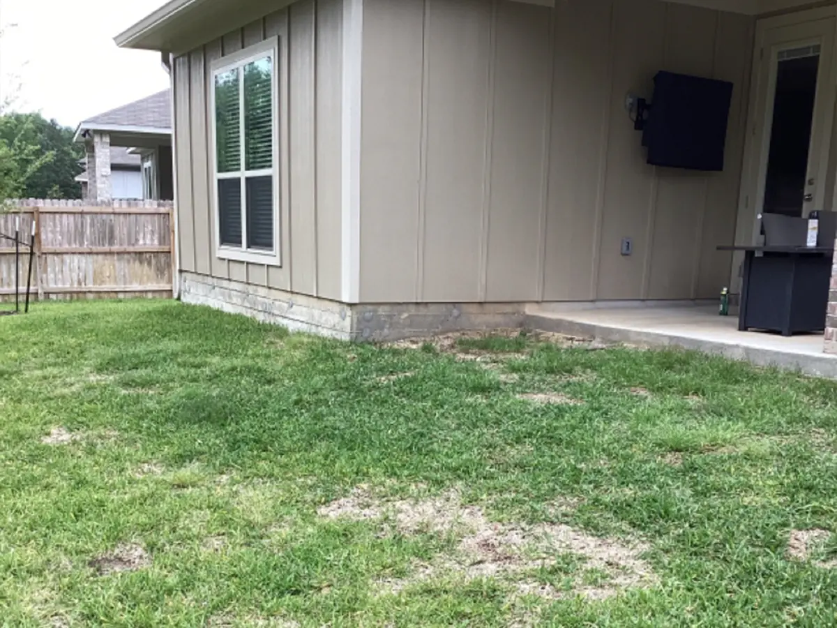 A lawn with a concrete patio
