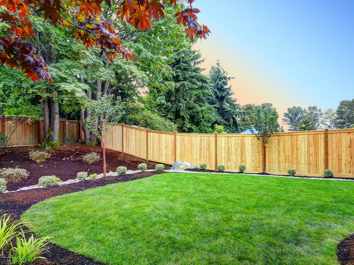 A backyard lawn with a cedar privacy fence and a small landscape with plants and trees
