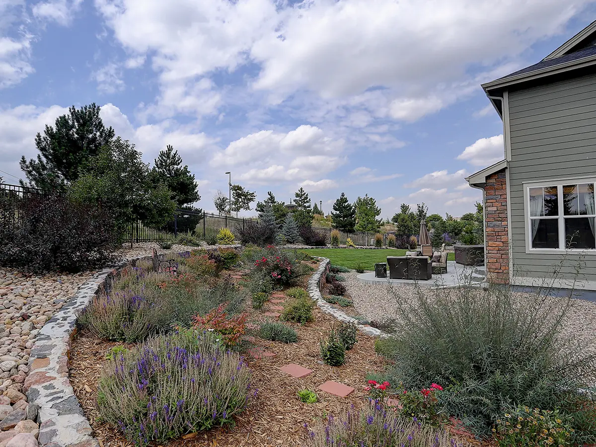 A xeriscaping project in Texas, with draught-tolerant plants, gravel, an aluminum fence, and a concrete patio