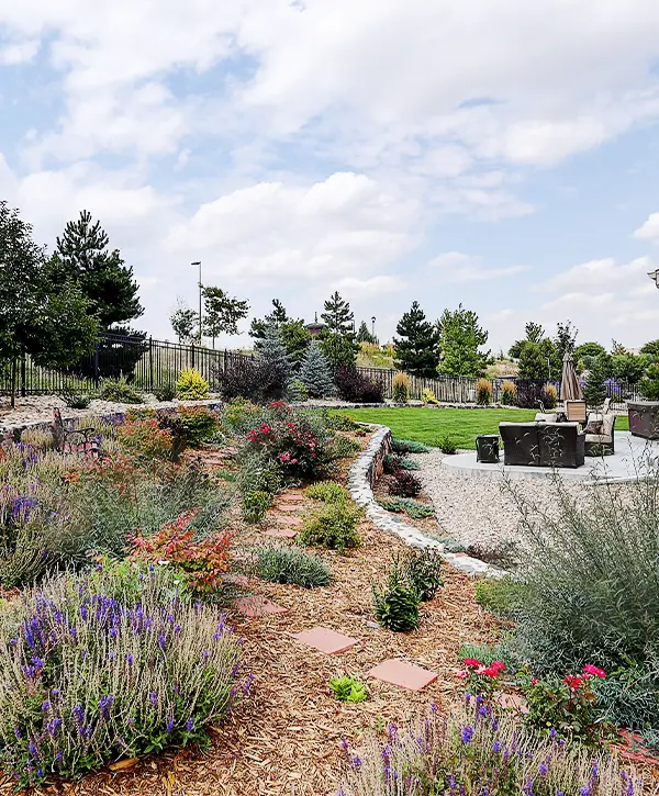 Xeriscaping Done In Bryan Texas