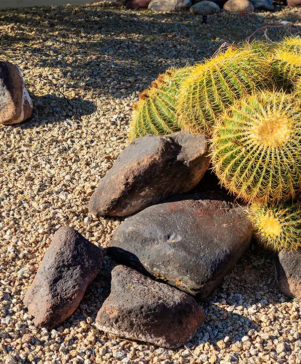 Xeriscaping in Culpepper Manor, College Station, TX