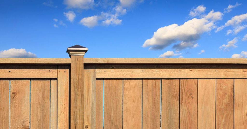 cedar vs pressure treated fence