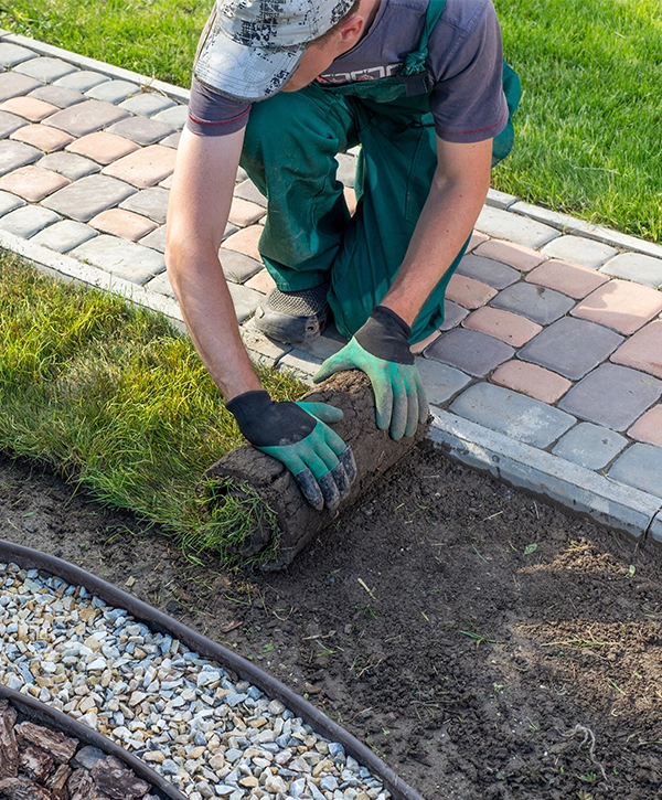 A person laying fresh sod grass on a prepared soil surface with Landscape Installation Services College Station TX