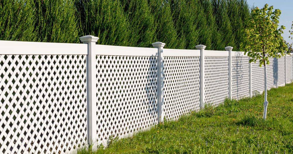 White vinyl lattice privacy fence installed along green lawn with tall trees creating a backyard privacy screen.