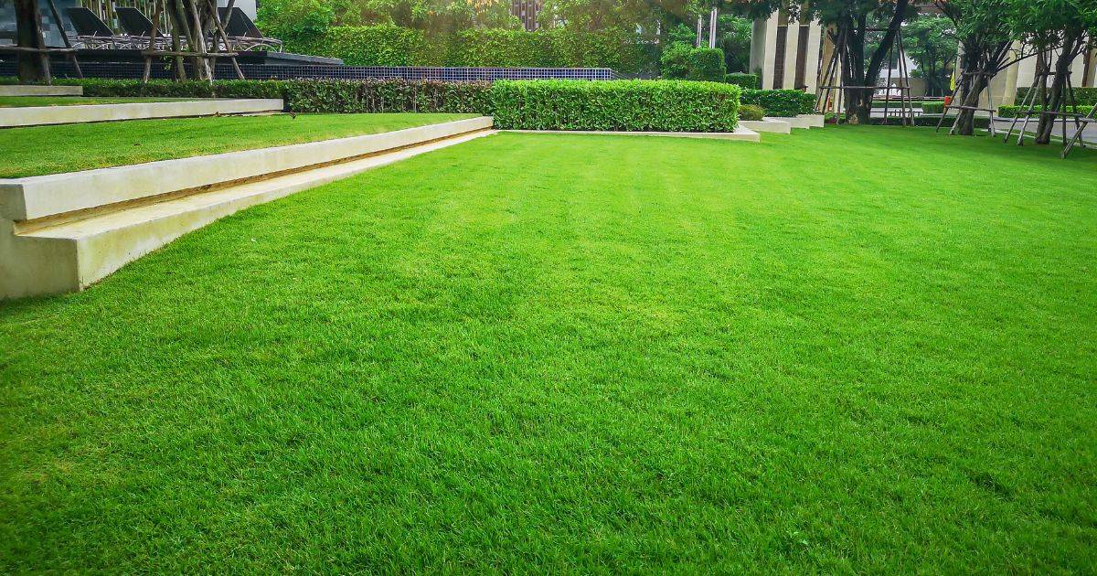 Lush green lawn bordered by neatly trimmed hedges