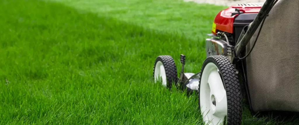 Close-up of lawn mower cutting bright green grass