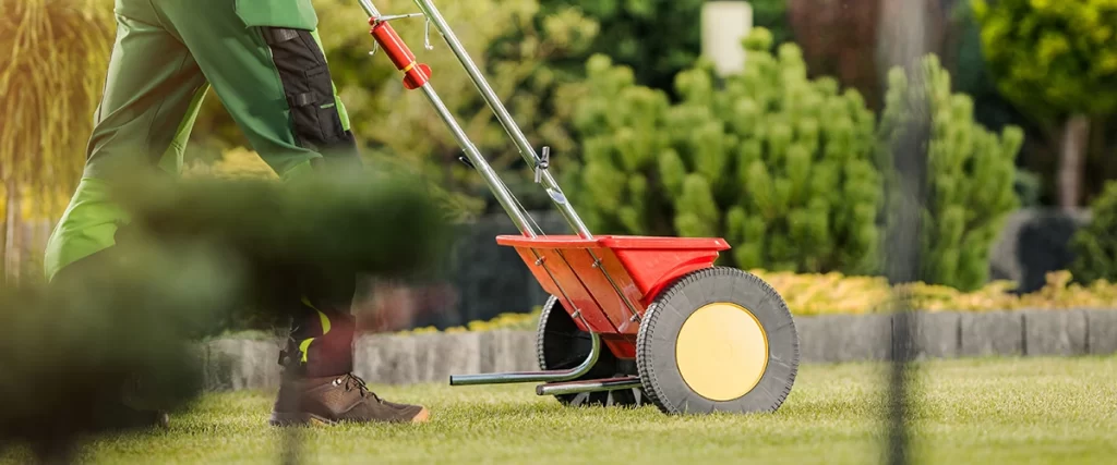 Close-up of a professional using a red push spreader to apply fertilizer on a residential lawn