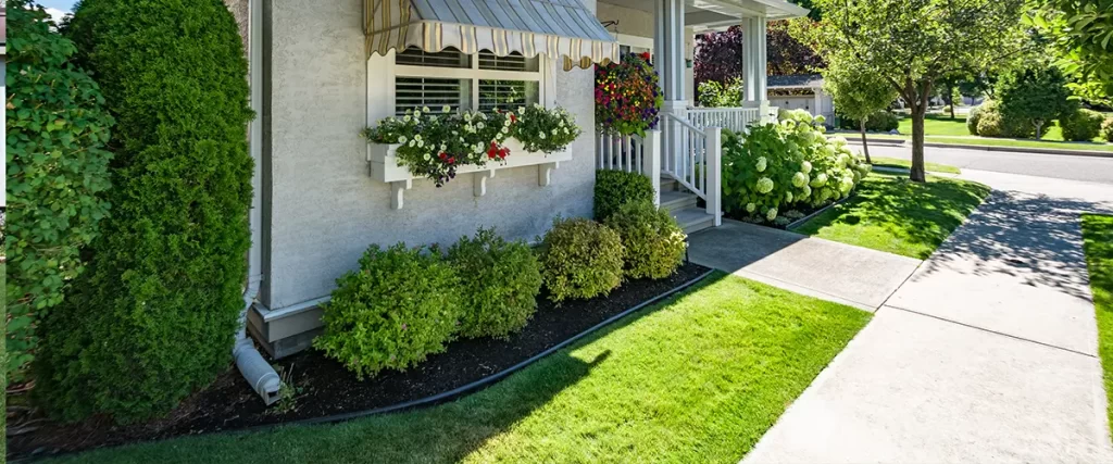 Charming front yard of a small house with neatly trimmed bushes, flower boxes, and a shaded front porch in College Station.