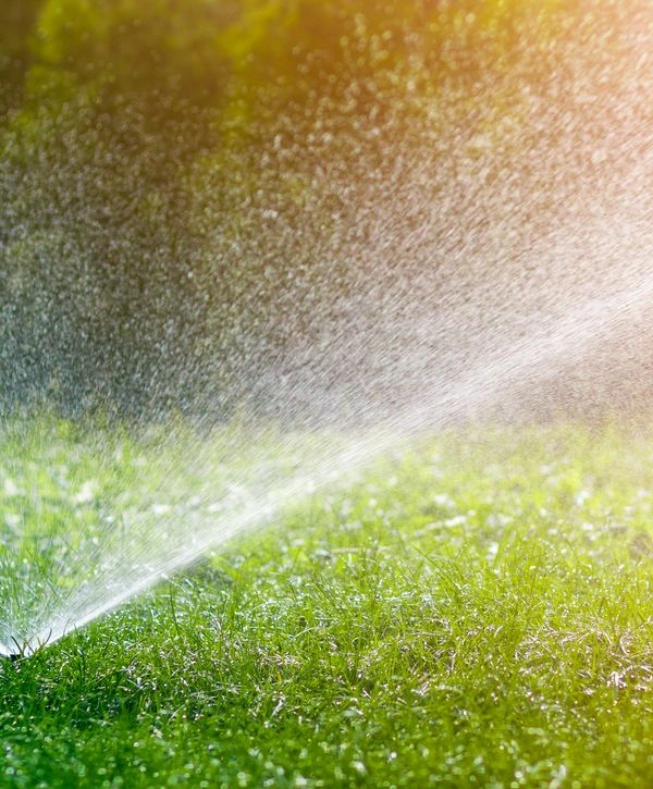 Close-up of an irrigation sprinkler head covering a lush lawn, providing precise water management in Southwood Valley.