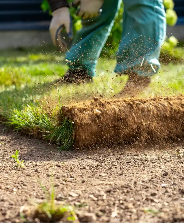 a person installing sod to create a new lawn during a landscape installation project