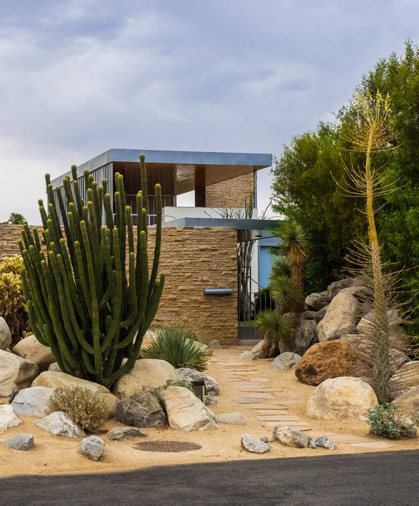 Large-scale xeriscaping with tall cacti and natural stone pathways leading to a modern architectural home in Pebble Creek, College Station, TX.