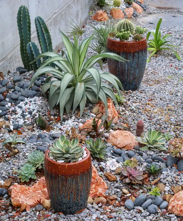 Large-scale xeriscaping project showcasing drought-tolerant plants in Creek Meadows, College Station, TX.